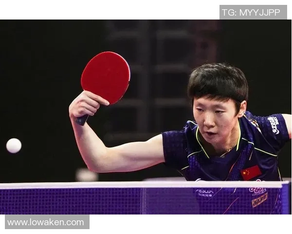 全国锦标赛回顾:西安乒乓球队展现实力与团队精神的精彩表现 全国锦标赛回顾:西安乒乓球队展现实力与团队精神的精彩表现