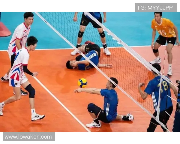 欧锦赛特别报道：上海排球队逆袭之路展现团结与拼搏精神