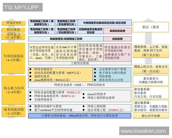 重庆排球队技术探讨：提升战术与个人技能的双重路径分析