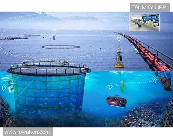 智能足球的未来探索与创新设计理念的深度解析与实践应用