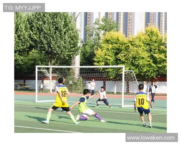 从绿茵场到篮球场探讨足球与篮球的异同与魅力 从绿茵场到篮球场探讨足球与篮球的异同与魅力