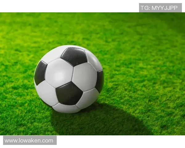 下载东南足球应用,畅享精彩赛事直播与最新动态,足球迷的必备神器 下载东南足球应用,畅享精彩赛事直播与最新动态,足球迷的必备神器