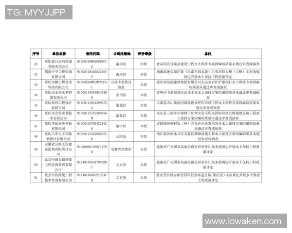 重庆飞盘队比赛经验分析与表现评估的综合研究报告 重庆飞盘队比赛经验分析与表现评估的综合研究报告
